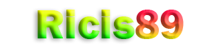 RICIS89
